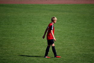 勇士训练时长延长球员投入度高，勇士训练短袖