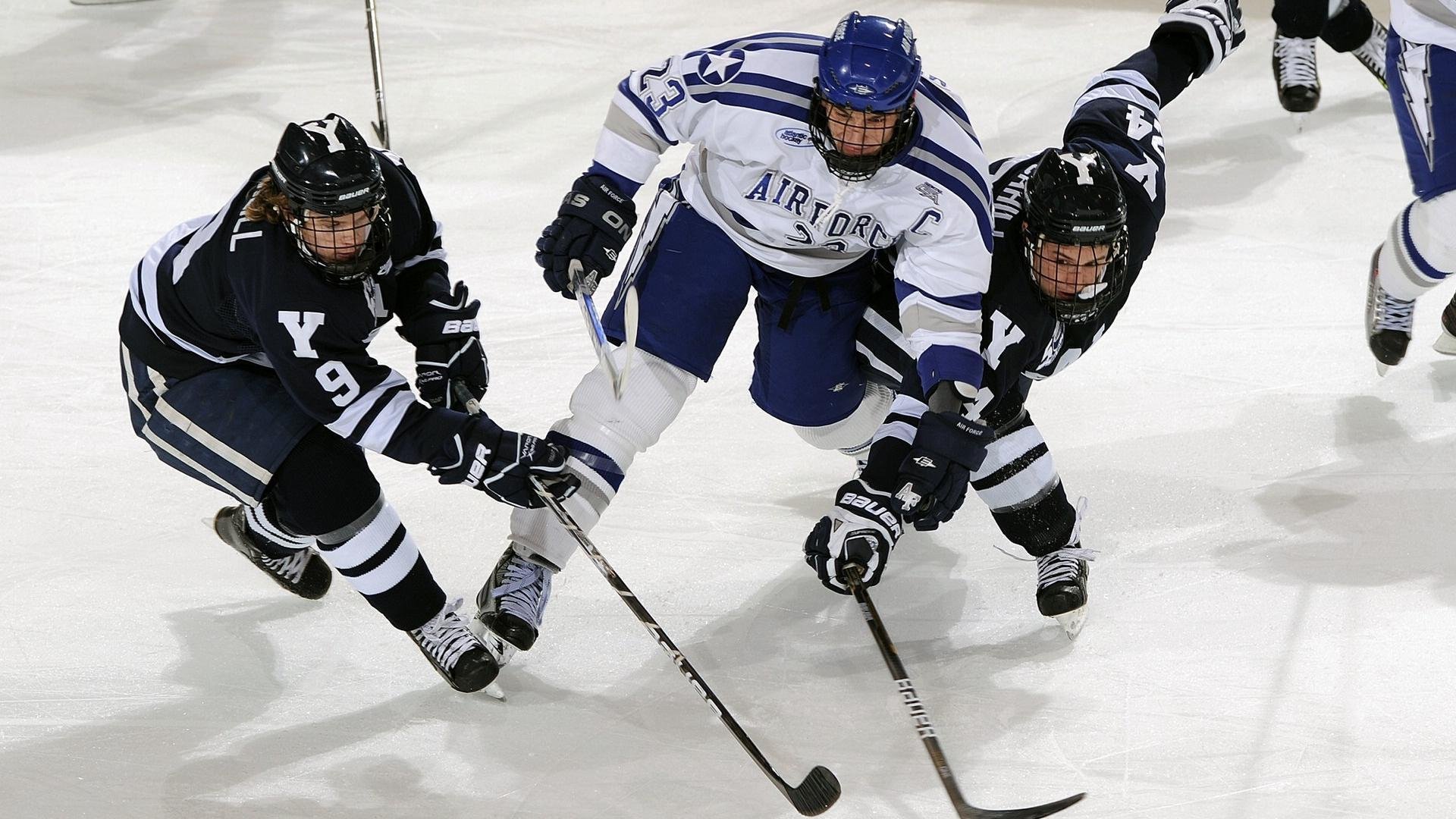 国王前锋入选月度最佳球员候选名单，国王队史最佳阵容